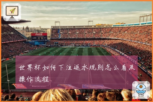 世界杯如何下注返水规则怎么看及操作流程