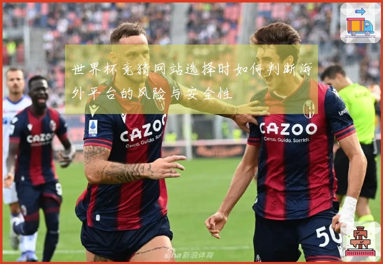 世界杯竞猜网站选择时如何判断海外平台的风险与安全性