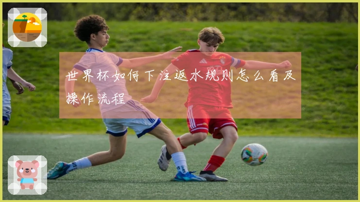 世界杯如何下注返水规则怎么看及操作流程