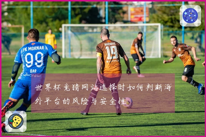 世界杯竞猜网站选择时如何判断海外平台的风险与安全性