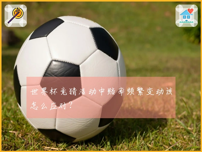 世界杯竞猜活动中赔率频繁变动该怎么应对？