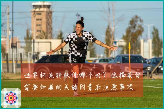 世界杯竞猜软件哪个好？选择前你需要知道的关键因素和注意事项